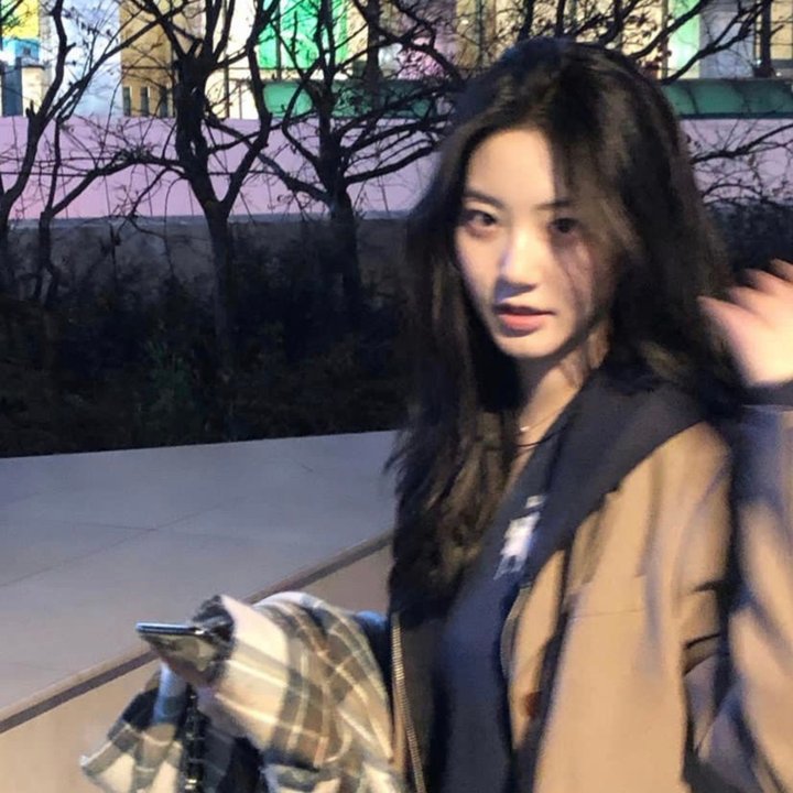 探险活宝第七季